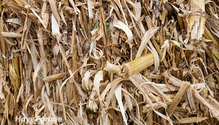 1-CropResidue_ph