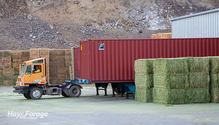1-HayExports_ph