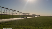 1-Irrigation_ph