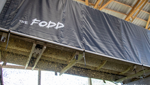 1-TheFodd_ph