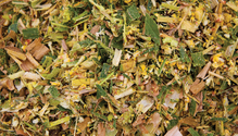 10-IMG_0447-web