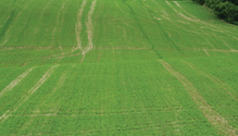 10-IMG_7083-web