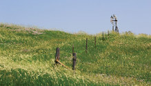 11-Landscapes_01-web