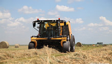 12-IMG_2615
