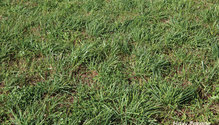 14-Clover-Hill-Dairy-MR_19
