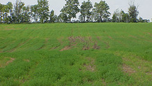 150630_Wet-Fields