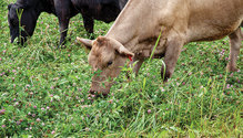 16-IMG_3153