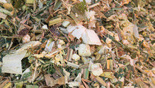 1601HFG-6-silage