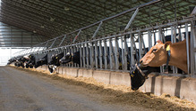 1602-HF-40-feedbunk