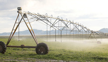 1608_28-irrigation