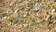 1608_36-silage
