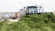 1611_12-silage-pushing