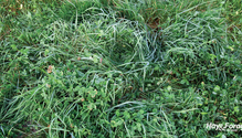 16_Feb_HFG-web