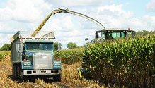 1701_26-chopping-corn-silage