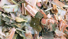 1702_14-silage