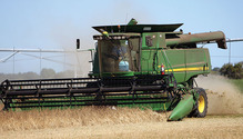 1702_22-alfalfa-seed-harvest