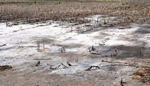 1703-10-HFG-saline-areas