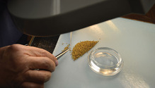 1704_26-purity-analysis