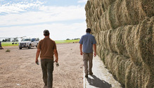 1708_16-hay-eddie
