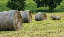 1708_20-big-round-bales