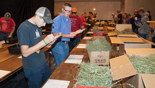 1711_38-WFMC-FFA