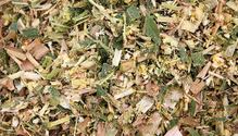 1801_HFG_20-corn-silage