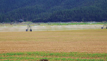 1803-HFG-12-irrigation