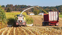 1808_HFG-12-corn-silage