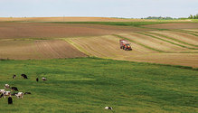 1808_HFG_18-forage-crops