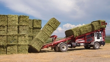1811_14-haystacks