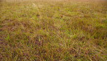 19 IMG_9491