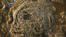 1901_HFG_24-manure