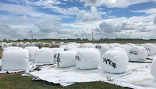 1902_HFG-10-wrapped-baleage