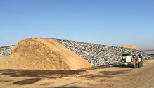 1902_HF_30-silage-face