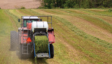 1904_6-baling