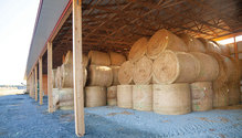 1911_HFG-18-hay-barn