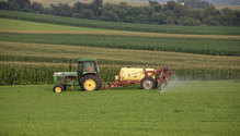 1Alfalfa_ph