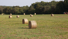 1BaleBuy_ph