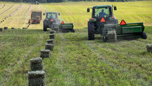 1Bales_ph