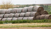 1Bales_ph