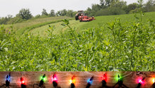 1Christmas_ph