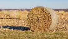 1CornstalkBales_AdobeImage_ph