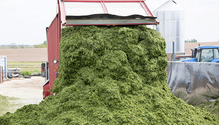 1DairyForage_ph