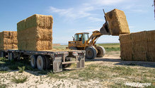 1Exports_ph