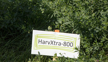 1HarvXtra_ph