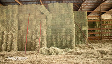 1HayBarn_ph