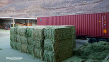 1HayExports_ph