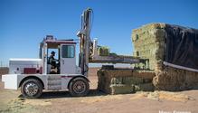 1HayExports_ph
