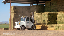 1HayExports_ph