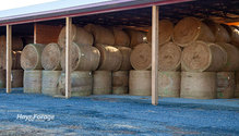 1HayLoss_ph